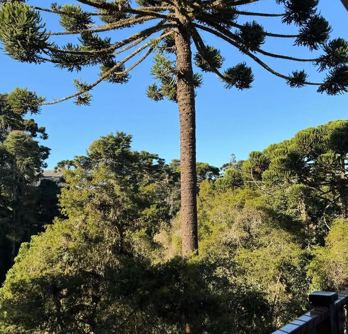 아파트 Apartamento Campos do Jordão